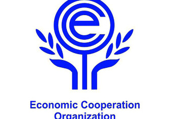 Научно обоснованное планирование сотрудничества предложил Азербайджан странам ECO