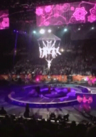 Жуткий инцидент: Из-под купола цирка рухнула “человеческая люстра“ (Видео)