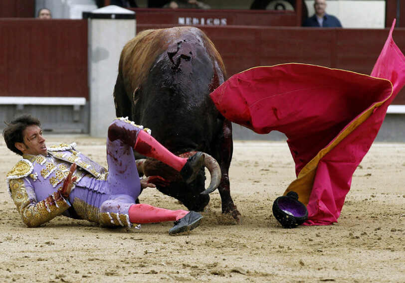Финита ла коррида: В Испании впервые за 35 лет прекратили бой быков