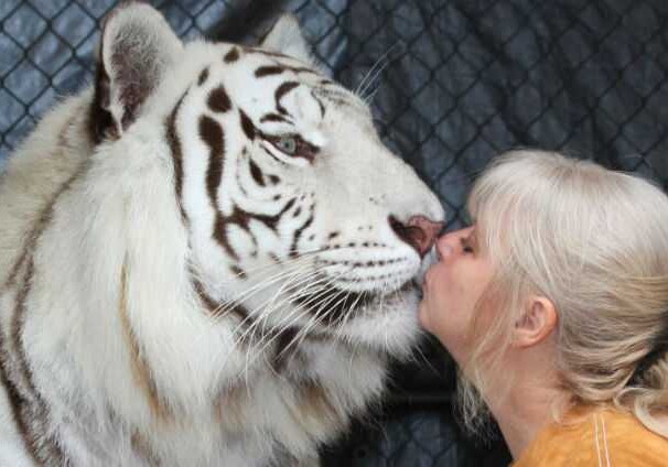 Любительница животных живет с тиграми, считая их своими детьми (Фото)