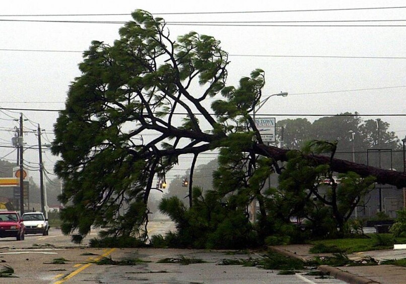 В Гяндже ураган привел к серьезным последствиям