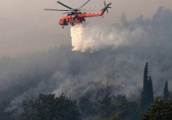 Начавшийся в Лерике пожар перекинулся на Гирканский национальный парк