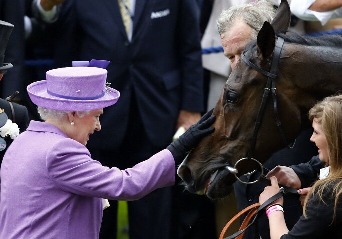 Елизавете II грозит штраф в $140 тыс. за допинг своей скаковой лошади
