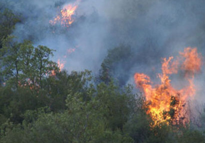 К тушению лесного пожара в Талыстане привлечена авиация МЧС