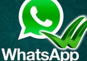 WhatsApp ввел опцию отключения уведомлений о прочтенных сообщениях