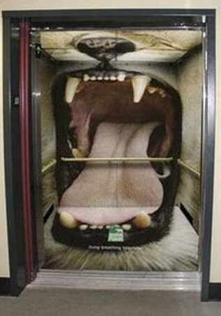 Над пропастью в лифте:  фобии в 3-D (Фото)