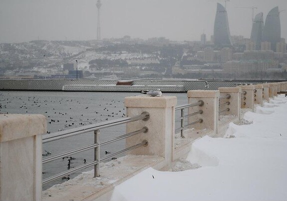 «Из-за «Эль-Ниньо» зима в Азербайджане будет холодной, но не суровой» – президент ЦЭП
