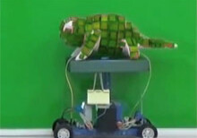 Китайские ученые создали робота-хамелеона (Видео)