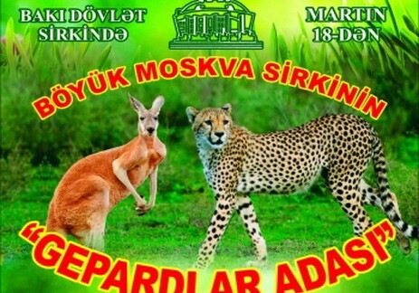 В Бакинском цирке пройдет шоу «Остров гепардов»