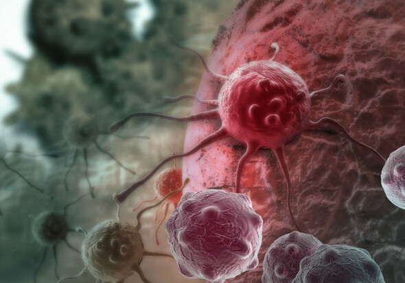 Обнаружены заразные раковые опухоли