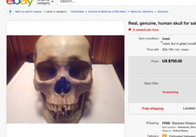 На eBay запретили продажу человеческих черепов