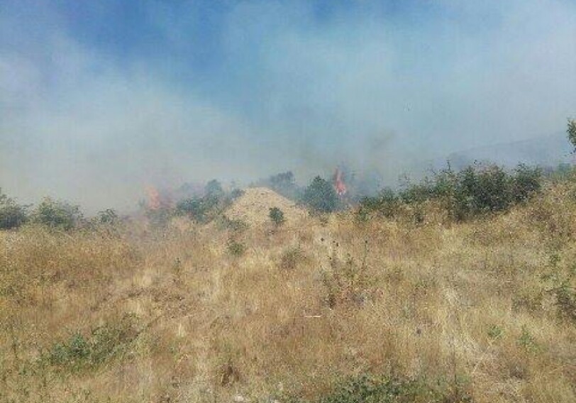 Пожар в Шабране: горит зерновое поле (Фото-Видео)