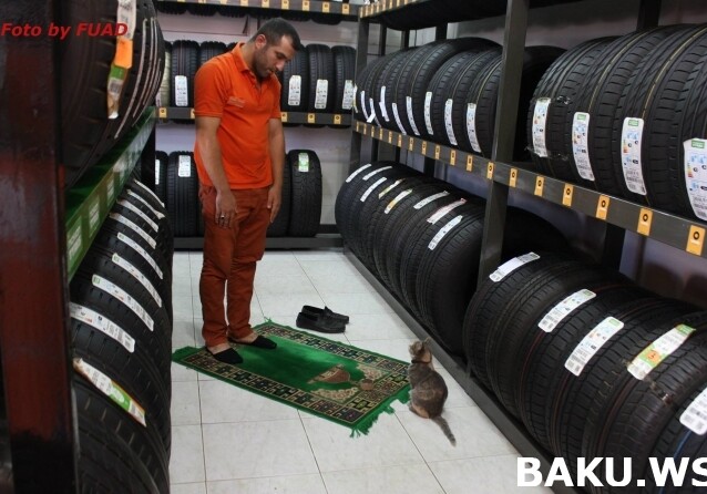Курьезный случай в Баку: Вот что оказалось в шинах, привезенных из Финляндии... (Фото)
