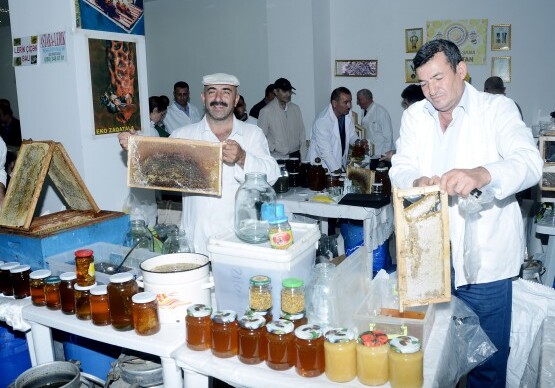 В Баку стартует ярмарка меда