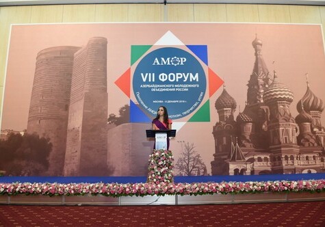 Поколение АМОР: стартовал VII Форум Азербайджанского молодежного объединения России (Фото-Обновлено)