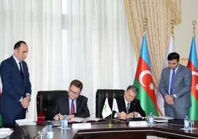 Академия наук Азербайджана и BP договорились о сотрудничестве