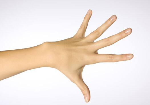 Ученый: по длине пальцев руки можно судить о склонности к болезням