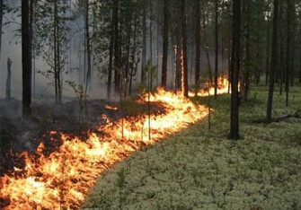 На российско-азербайджанской границе горит лес (Обновлено)
