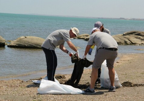 IDEA и ОАО «Чистый город» провели акцию по очистке пляжа в Новханы (Фото)