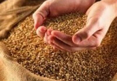 МЧС Азербайджана начало покупку зерна для Государственного зернового фонда