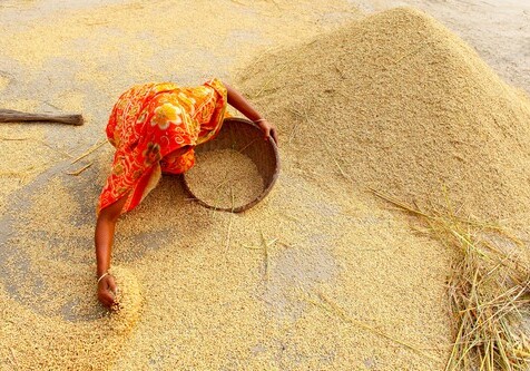 Цены на продукты питания в мире подскочили в связи с подорожанием пшеницы и мяса