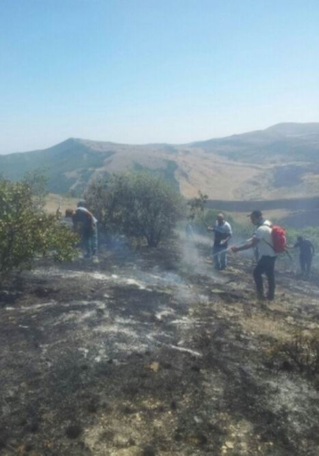 На территории Кызылагаджского заповедника произошел пожар