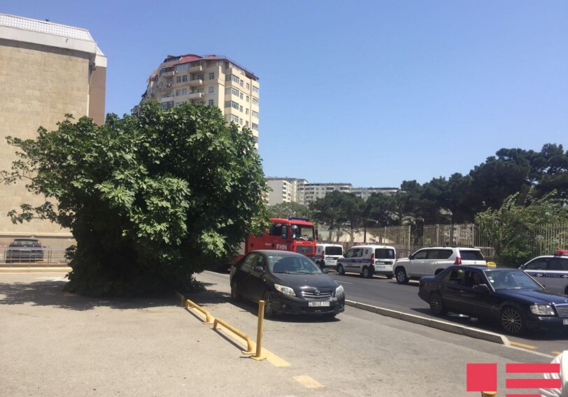 МЧС распространил заявление в связи с пожаром в Баку 