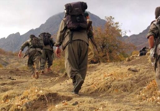 Боевики PKK проходят подготовку в Армении и на оккупированных азербайджанских территориях