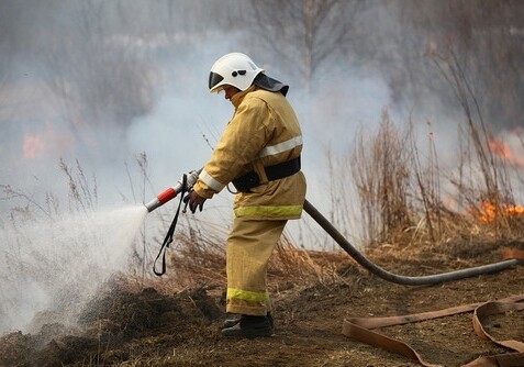 Лесные пожары в Габалинском районе ликвидированы