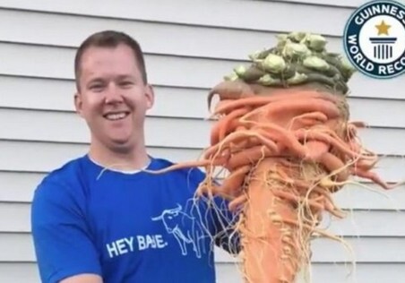 Огородник из США вырастил самую большую в мире морковь
