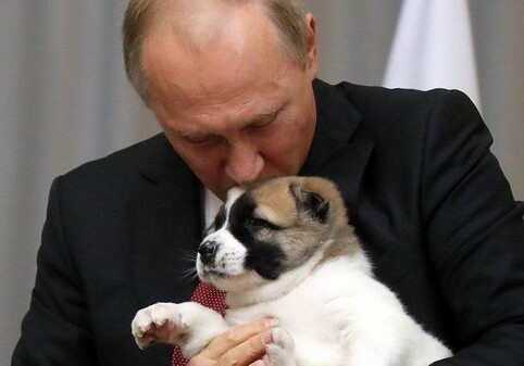 Владимир Путин и его зоопарк (Фото)