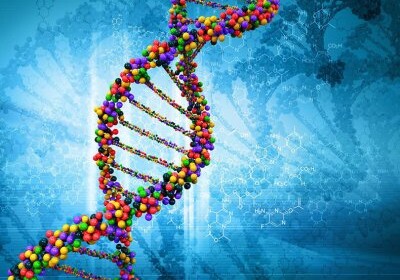 Ученым удалось «воскресить» ДНК человека, умершего 200 лет назад