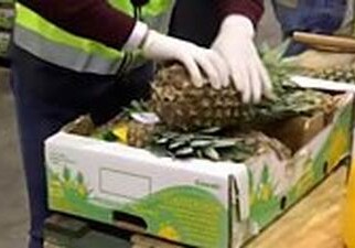 В партии ананасов нашли 745 кг кокаина (Видео)