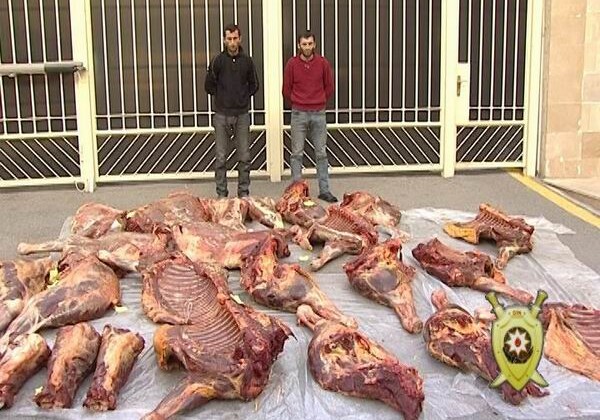 Задержаны лица, пытавшиеся под видом говядины продать 1 тонну некачественной конины (Фото)