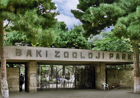 Стартовала первая фаза реконструкции Бакинского зоопарка