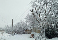 Высота снежного покрова в Шахдаге достигла 38 см - Прогноз погоды