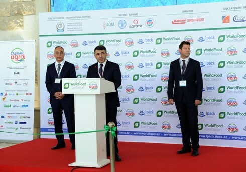 «Сельское хозяйство в Азербайджане вышло на новый уровень развития» – Министр (Фото)