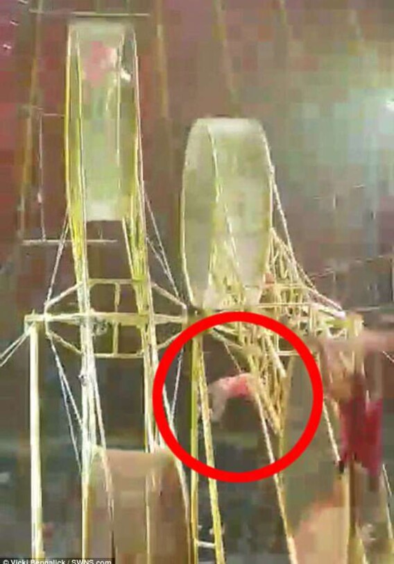 Циркач сорвался с 10-метровой высоты и выжил (Видео)