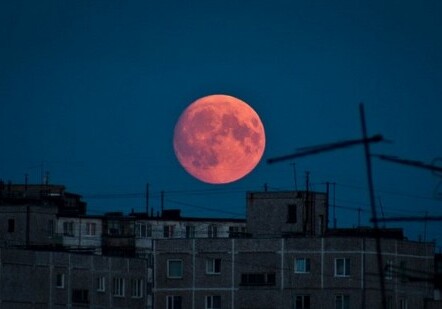 В июле произойдет самое длинное в ХХI веке лунное затмение