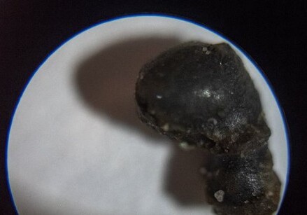 Ученые впервые подняли метеорит со дна океана