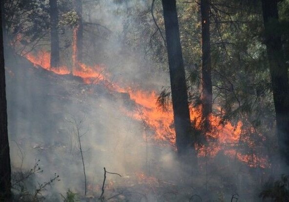 Пожар в Сиязани и Шабрани перекинулся в горные районы