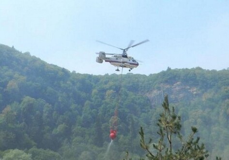 Пожары в лесной зоне Губинского района потушены – МЧС