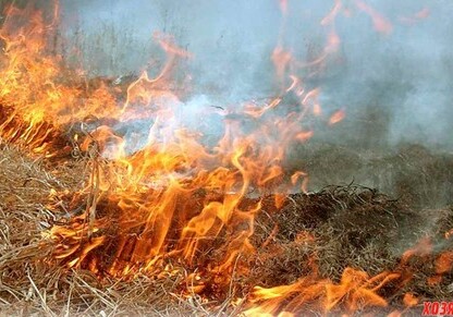 В Азербайджане за поджог посевных площадей будут штрафовать - Минсельхоз
