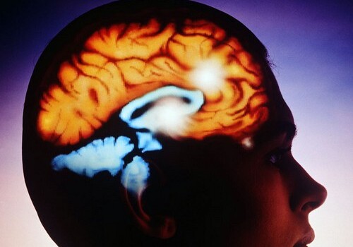 Ученые обнаружили «центр пессимизма» в головном мозге человека