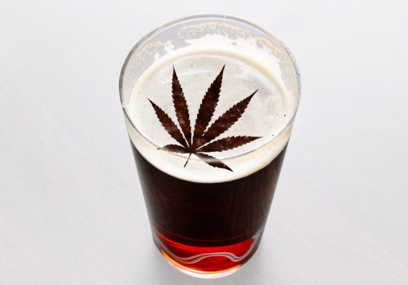 Дурь на миллиарды‍: Пиво соединят с марихуаной