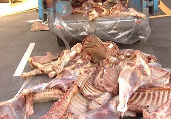 За продажу мяса павших животных арестовано 6 человек – в Азербайджане