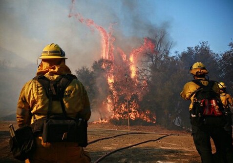 Число жертв пожаров в Калифорнии возросло до 79