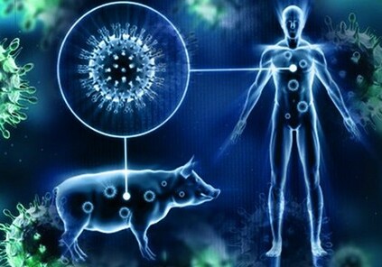 В Грузии два человека скончались от «свиного гриппа»