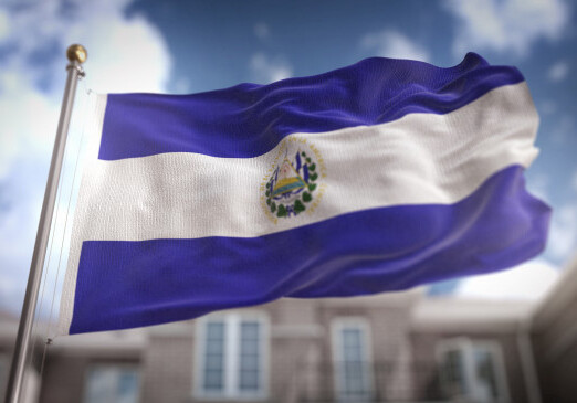 В Сальвадоре стартуют президентские выборы