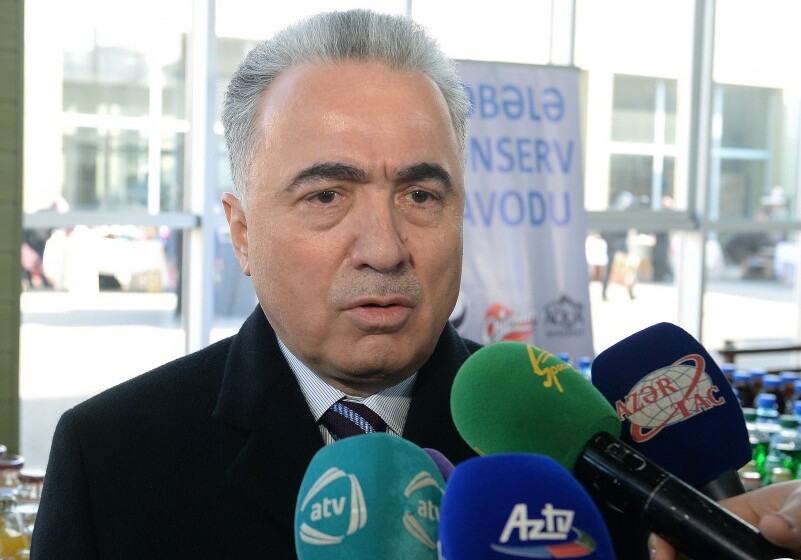 Зейнал Нагдалиев: «В абсолютном большинстве представленных Президенту в Шамахе и Агсу письмах содержатся просьбы о новых домах»